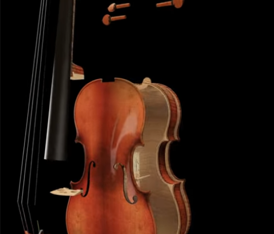 Violino Esploso